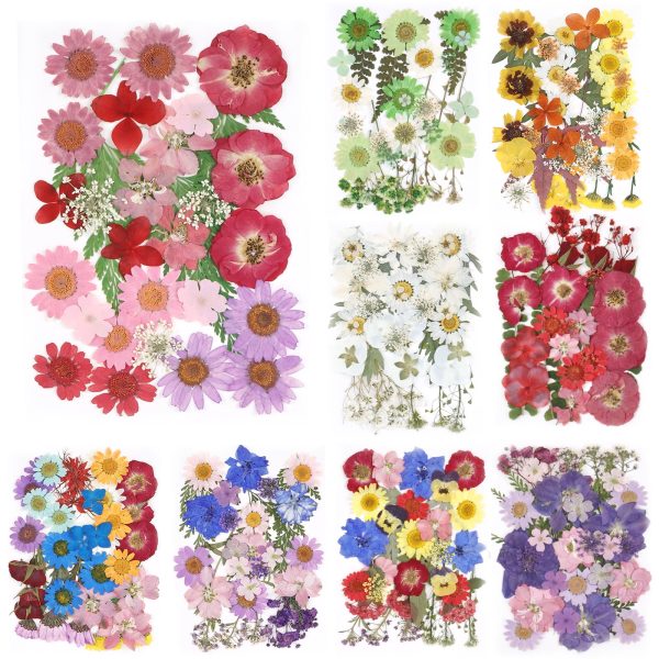 Keyohome 104/96/94Pcs Pressed Dried Flowers Set Real Natural Pressing Floral Leaves DIY Real Pressed Flowers for Indoor Outdoor Home