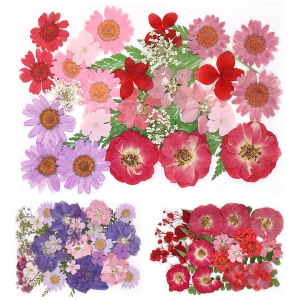 Keyohome 104/96/94Pcs Pressed Dried Flowers Set Real Natural Pressing Floral Leaves DIY Real Pressed Flowers