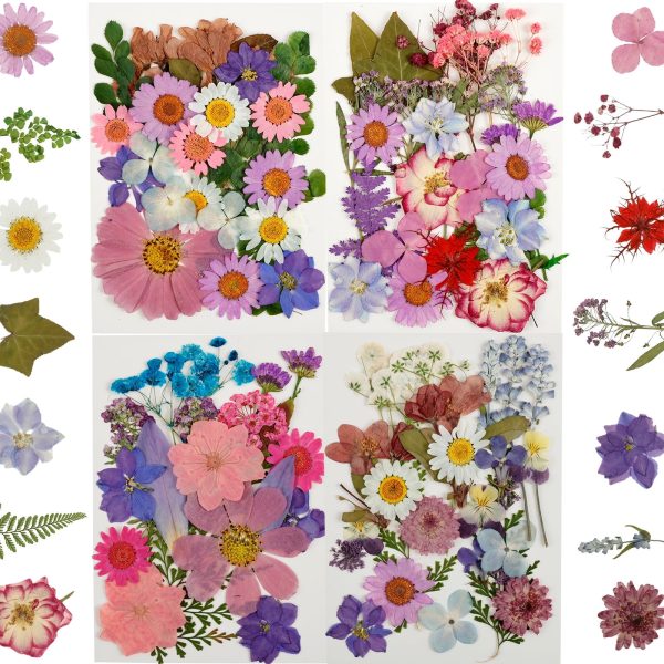 Keyohome Pressed Dried Flowers Set Real Natural Pressing Floral Leaves DIY Real Pressed Flowers for Indoor Outdoor Home,93Pcs,4 Pack