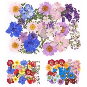 Keyohome 104/96/94Pcs Pressed Dried Flowers Set Real Natural Pressing Floral Leaves DIY Real Pressed Flowers