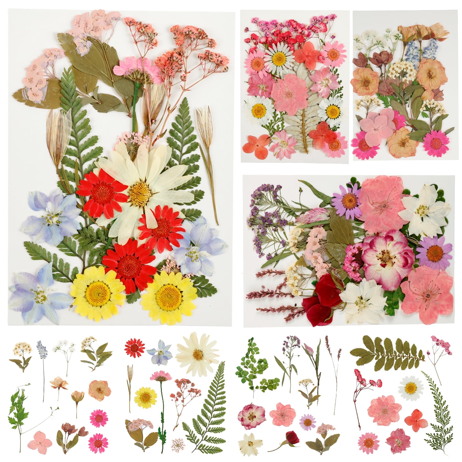 Keyohome Pressed Dried Flowers Set Real Natural Pressing Floral Leaves DIY Real Pressed Flowers for Indoor Outdoor Home,90Pcs,4 Pack