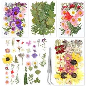 Keyohome Pressed Dried Flowers Set Real Natural Pressing Floral Leaves DIY Real Pressed Flowers for Indoor Outdoor Home,152Pcs,4 Pack,with Tweezers