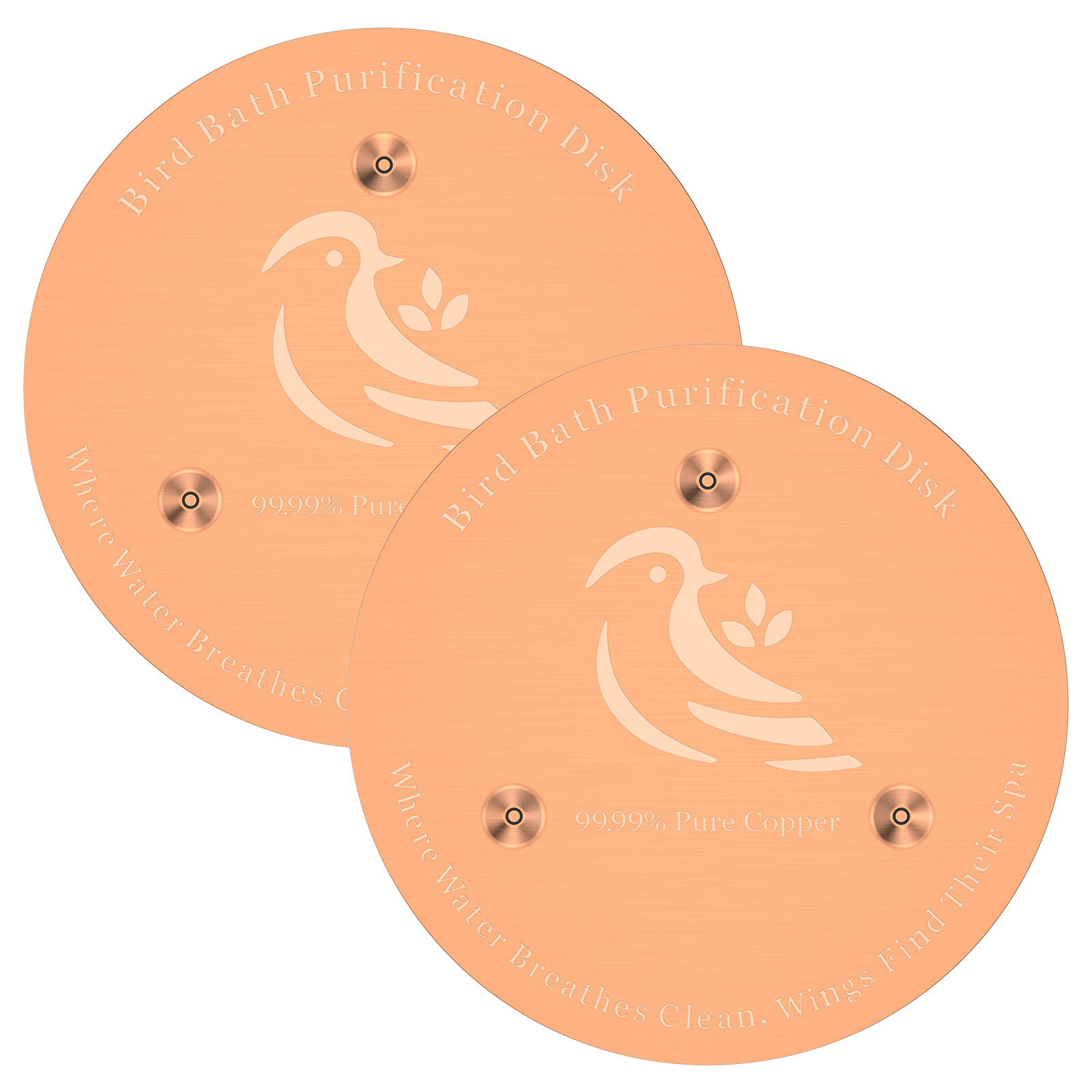 2 Pack Bird Bath Copper Discs,99.9% Pure Copper Cleaner with Point Support for Clean Water,Universal Fit for Outdoor Birdbaths,Bowl,Bird Bath Solar,All-Season Use